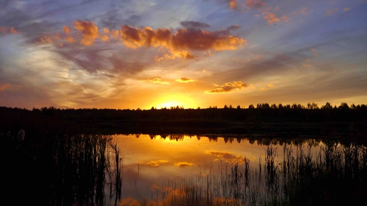 sunset