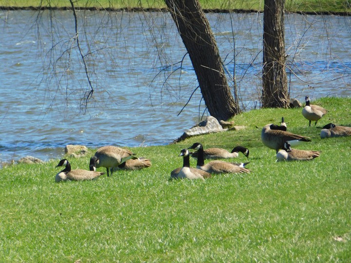 lakemore ohio