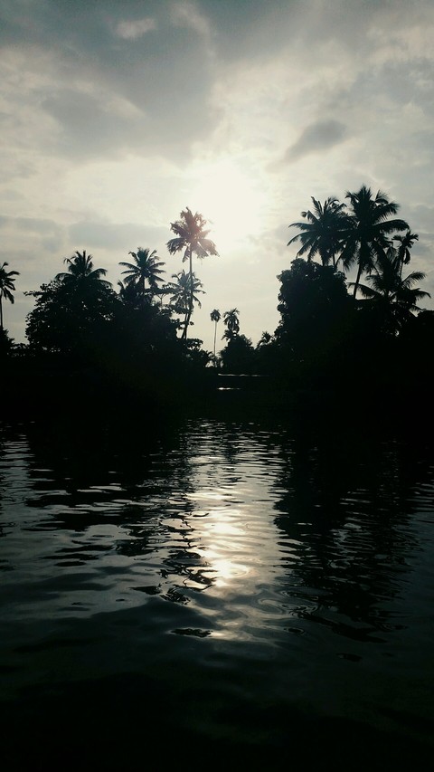 Serene backwaters..