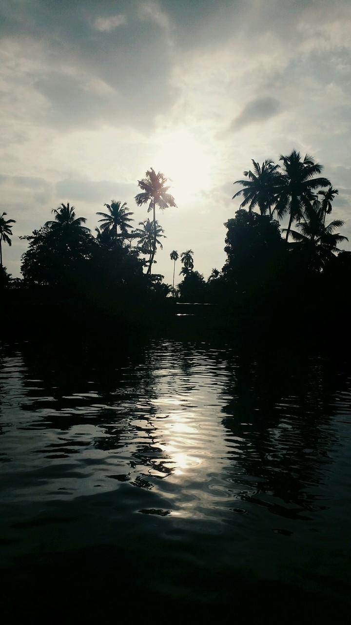 Serene backwaters..