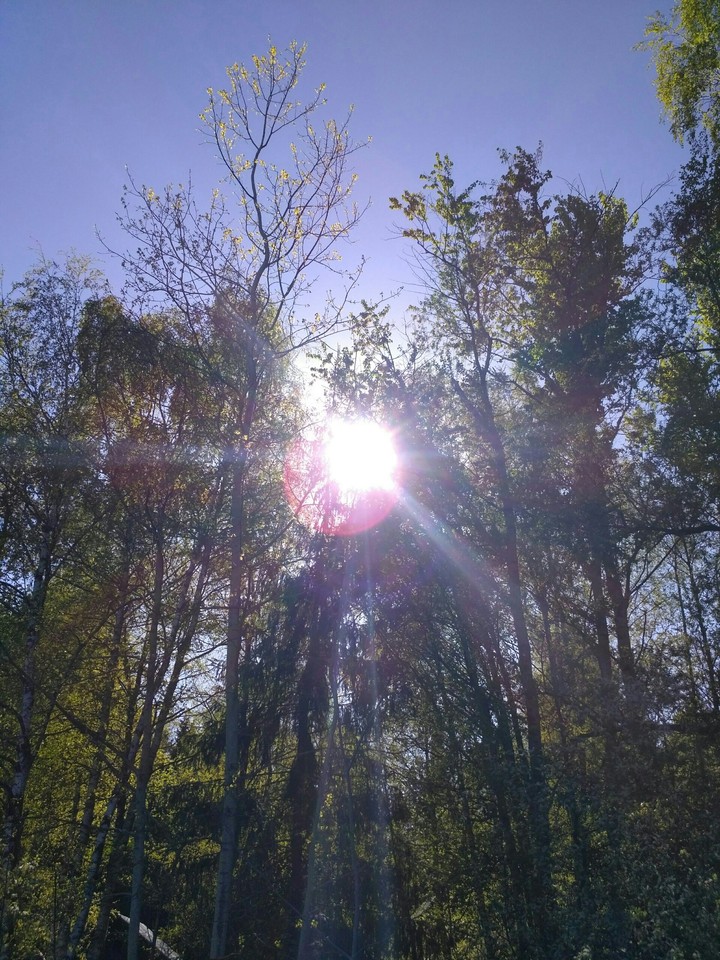 springtime