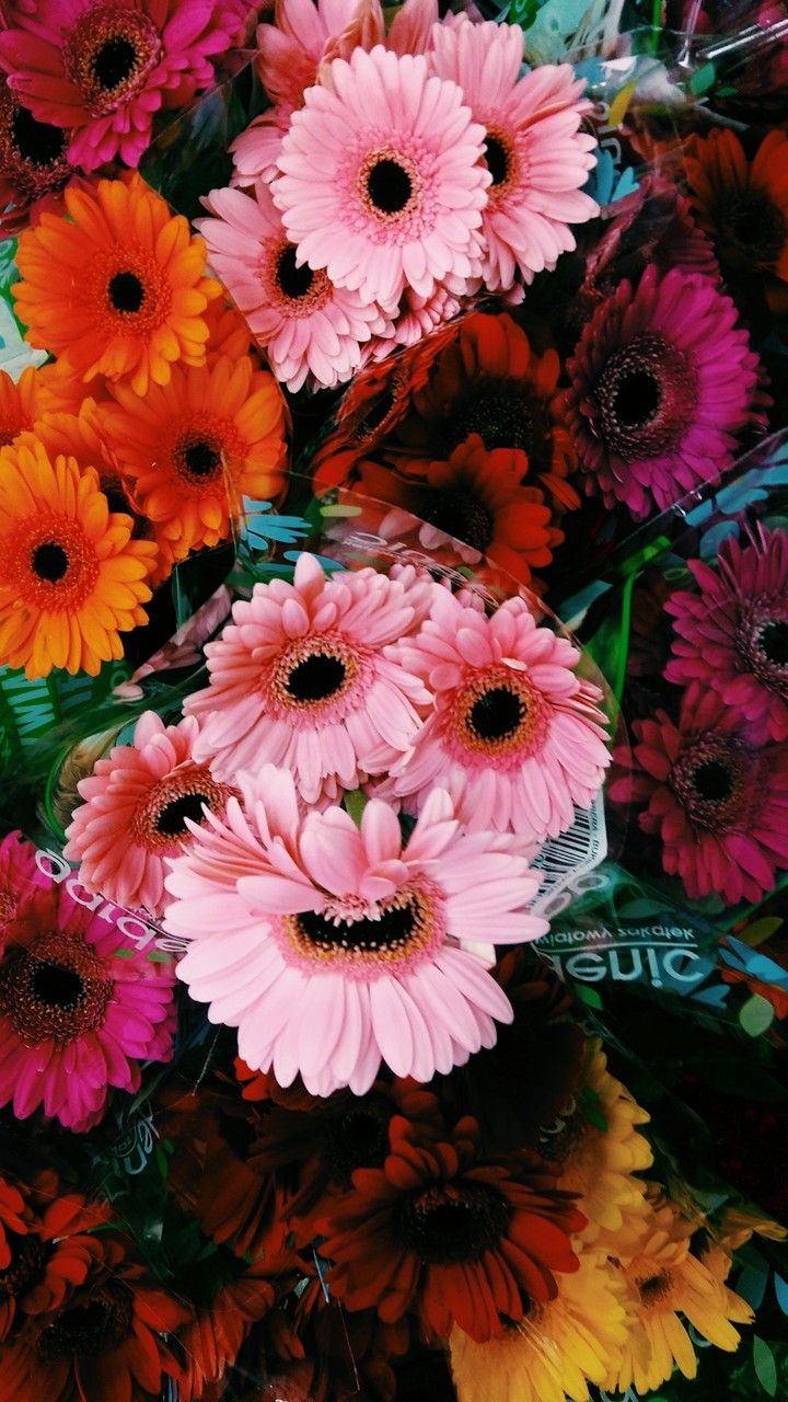 ❤....