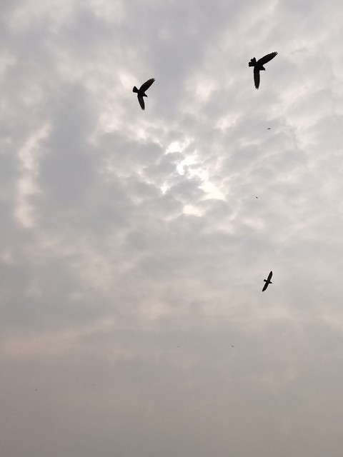lets fly high this 2020