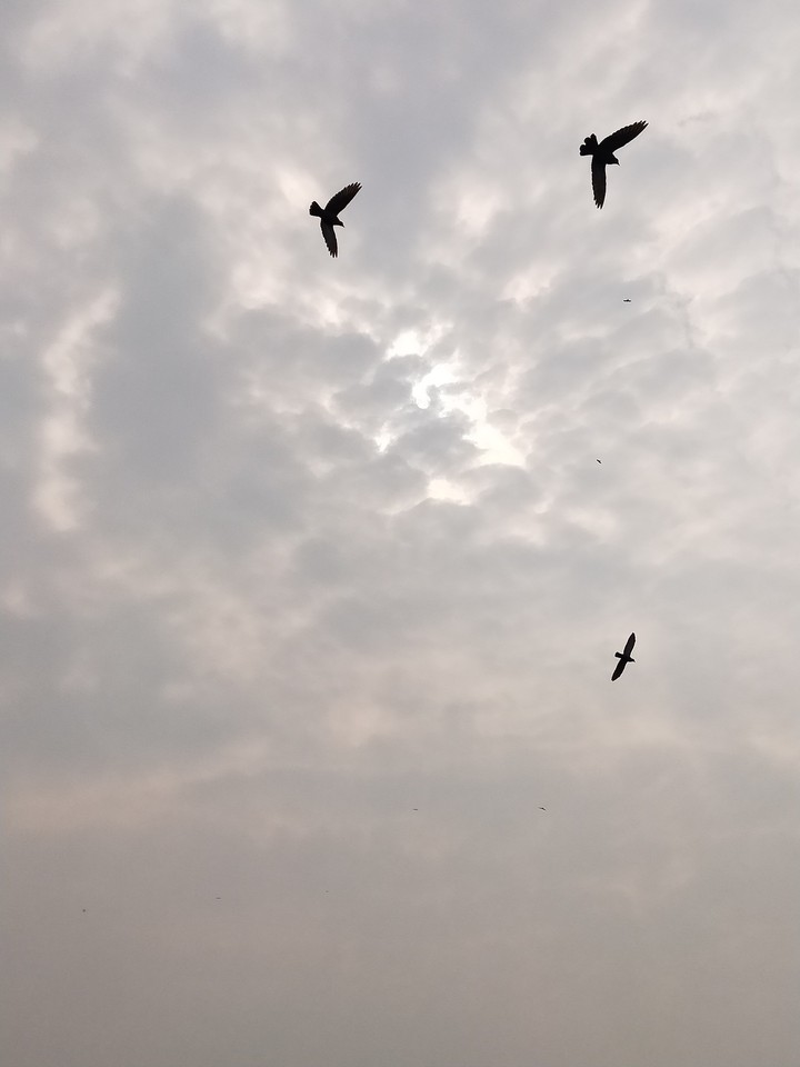 lets fly high this 2020
