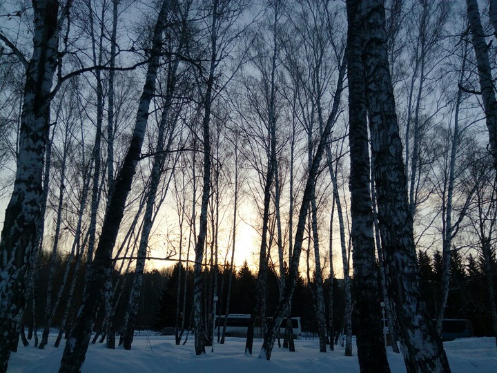 Winter in Siberia