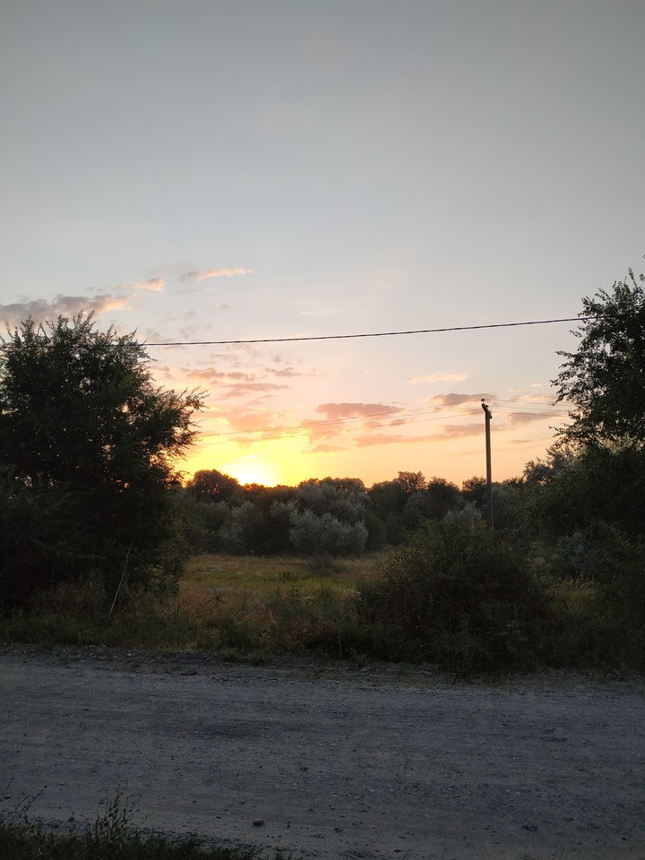 rise and shine