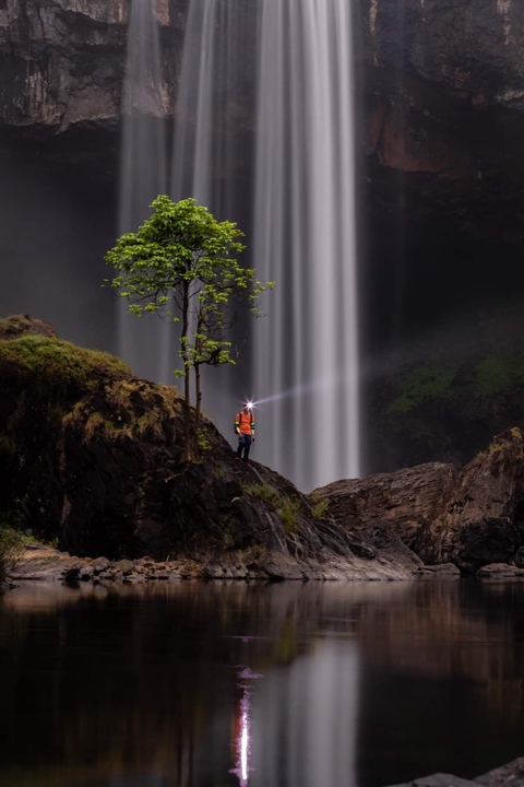 шпалери vegetation, waterfall
