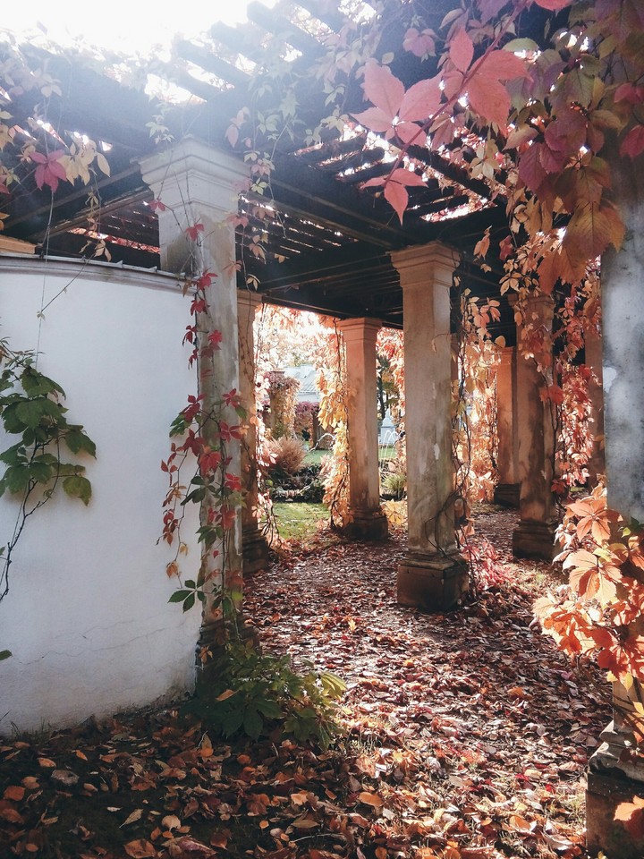 secret garden