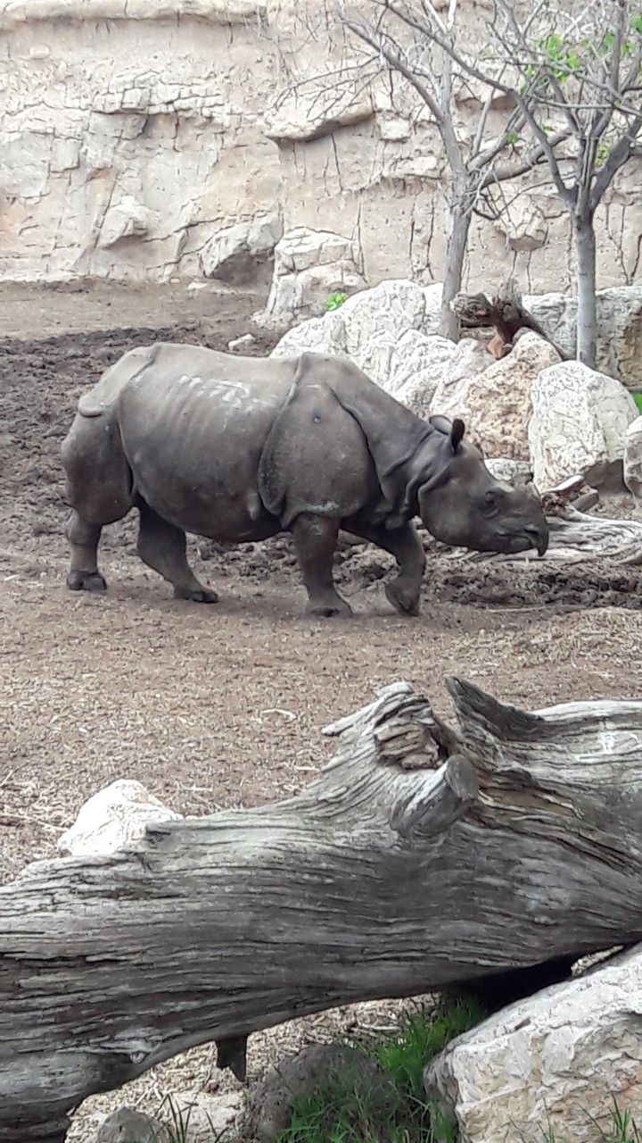 Zoo, Benidorm, Spain