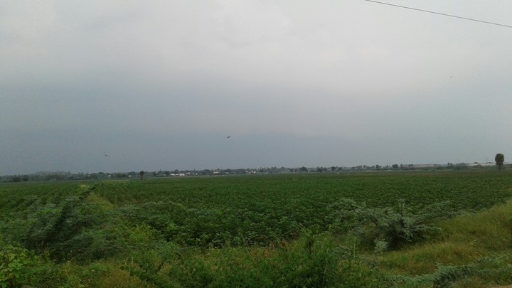 view