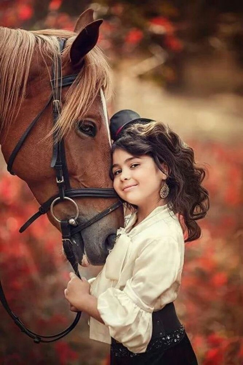 רקעים bridle, stallion