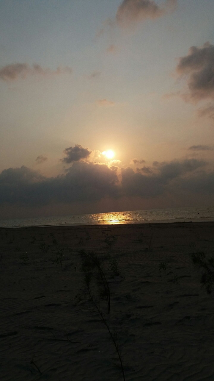sun rise