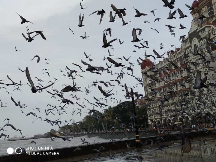 Taj hotel at Mumbai