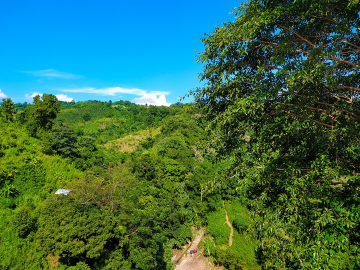 Nature