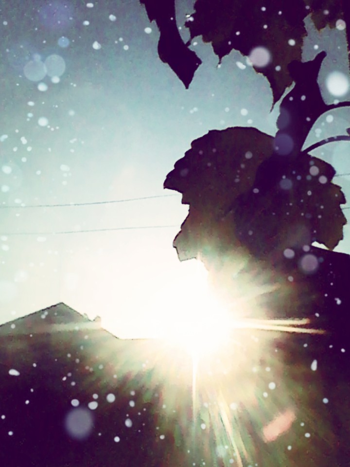 ранок. morning