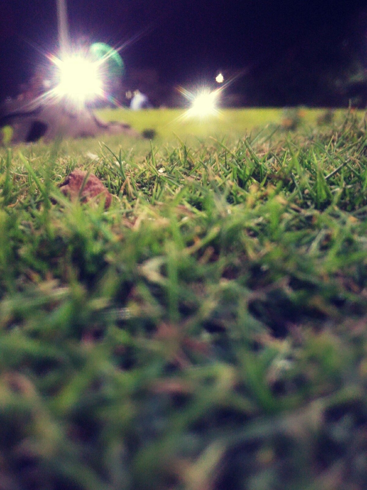 Blades of Grass..