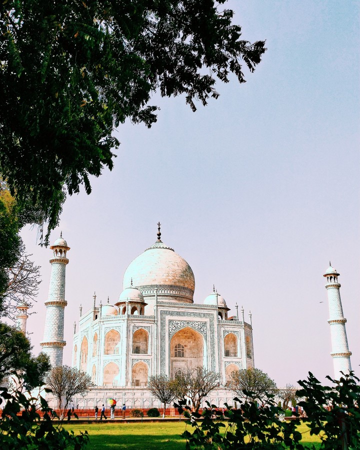 the taj