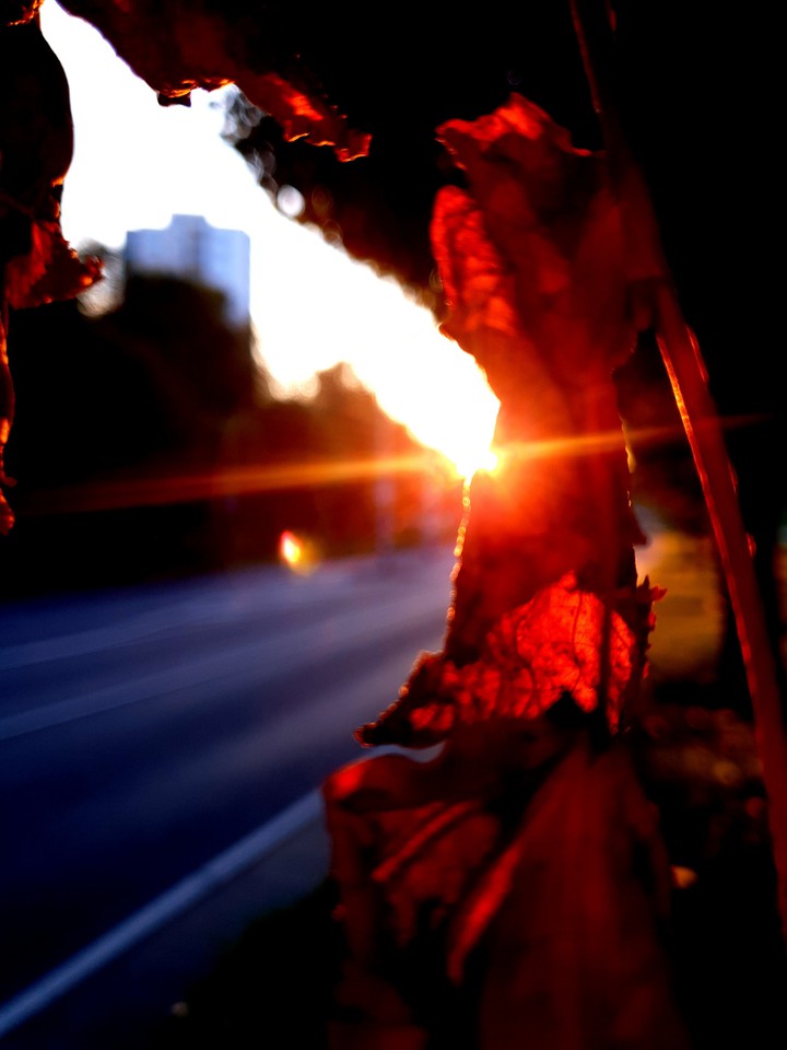 sun