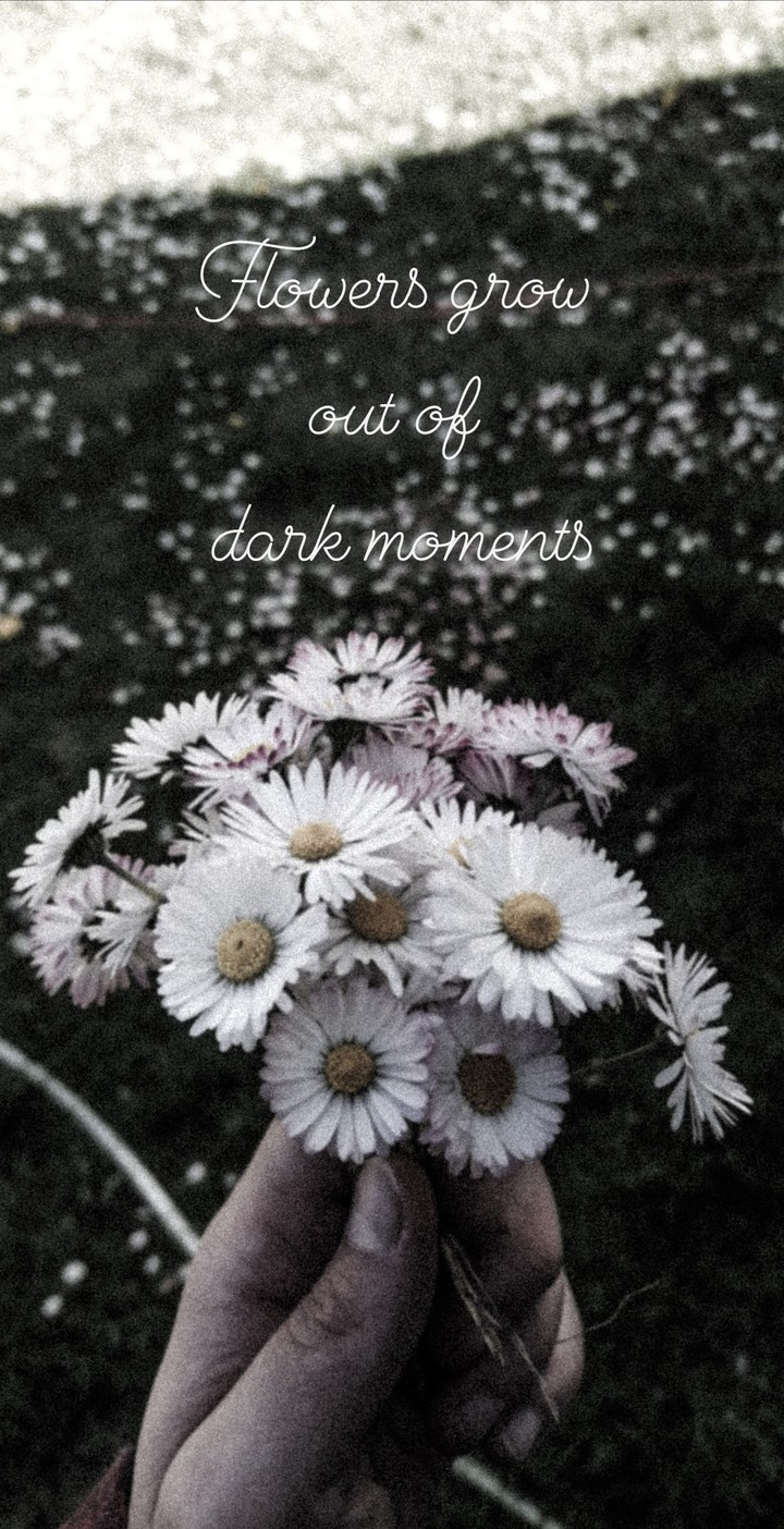 dark flowers