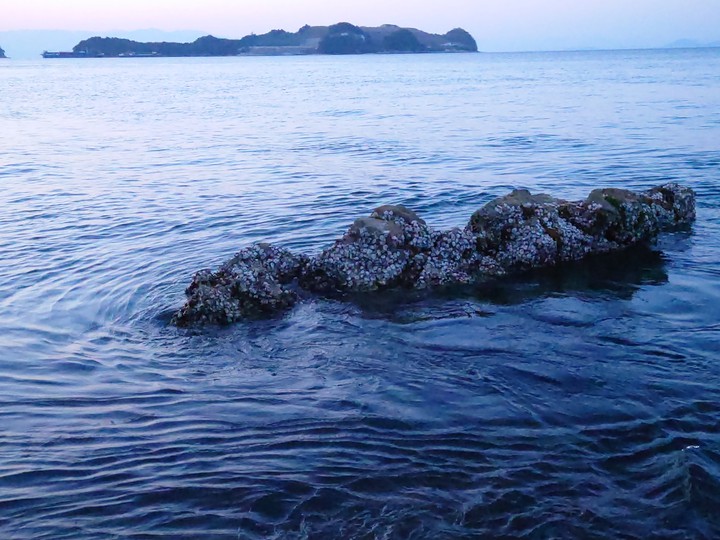 海