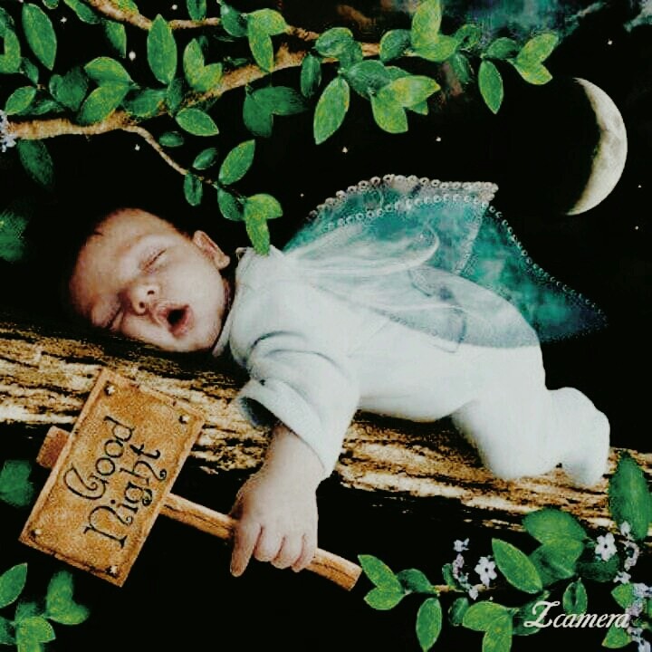 good nigh