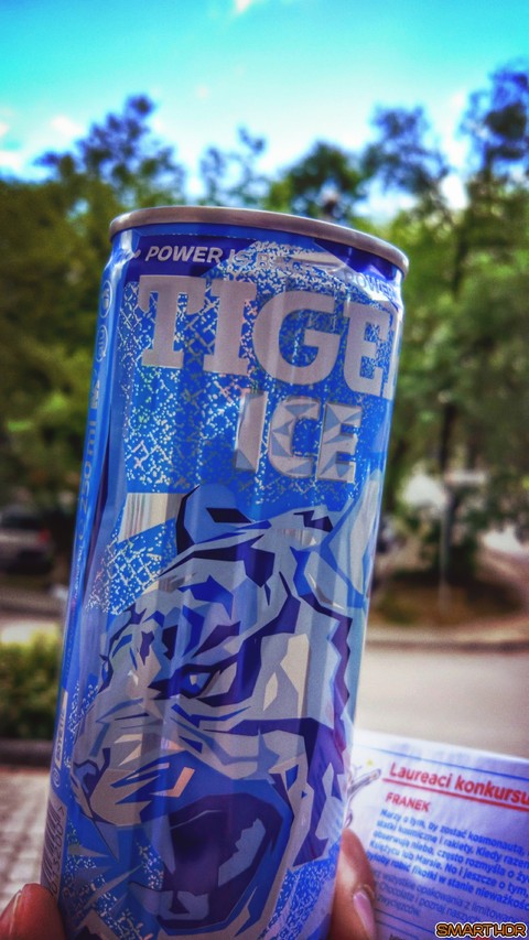tiger