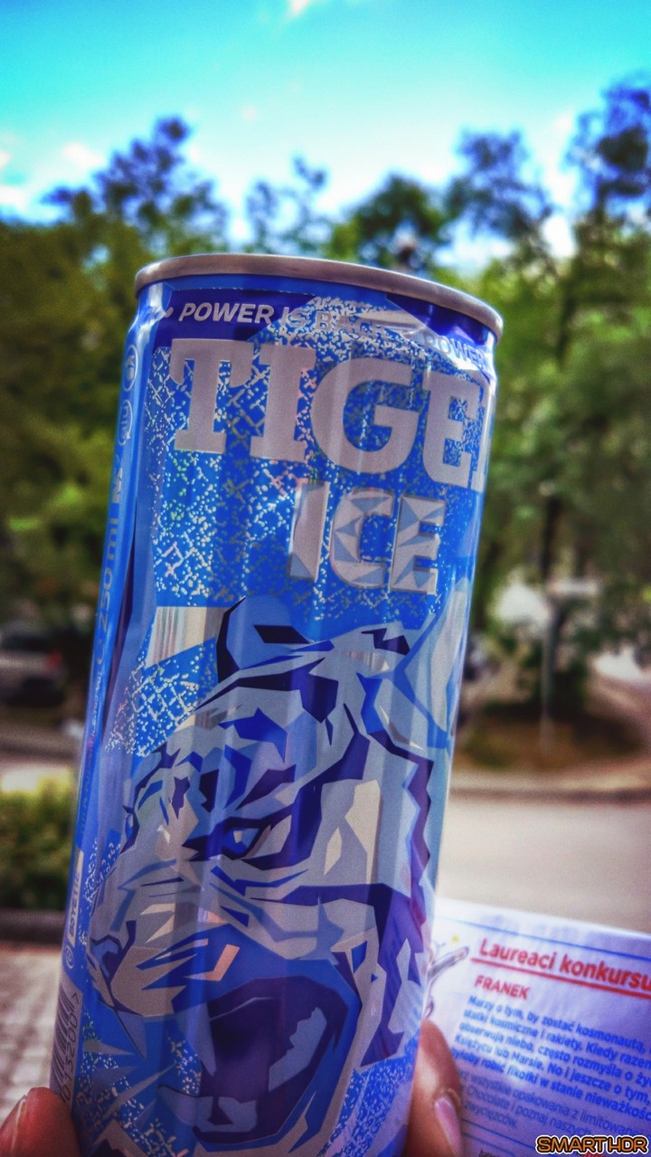 tiger