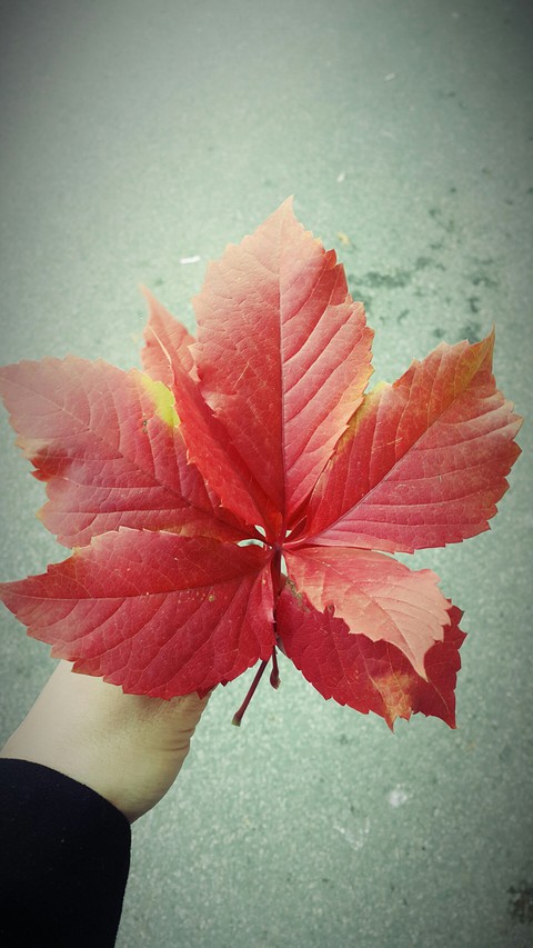 Autumn