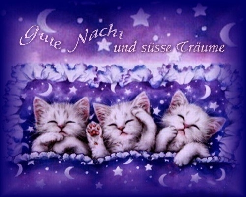 Gute Nacht