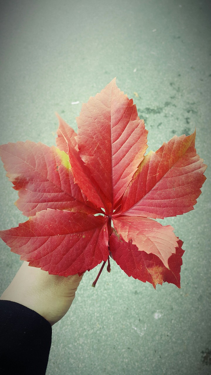Autumn