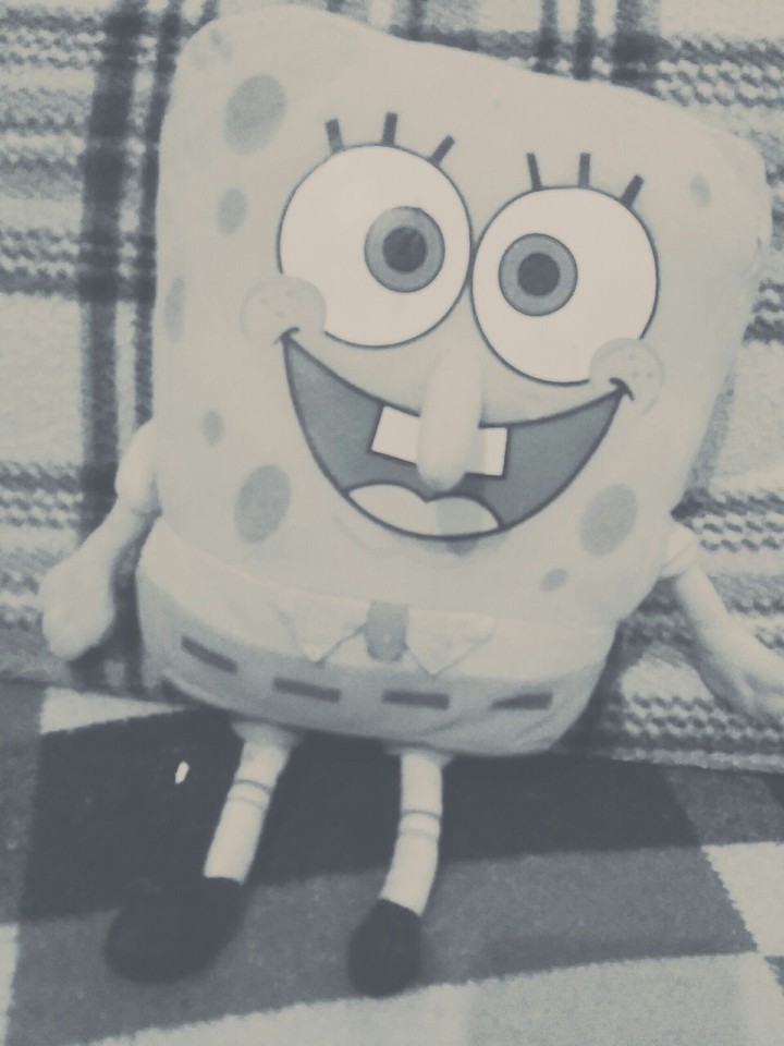my spongy