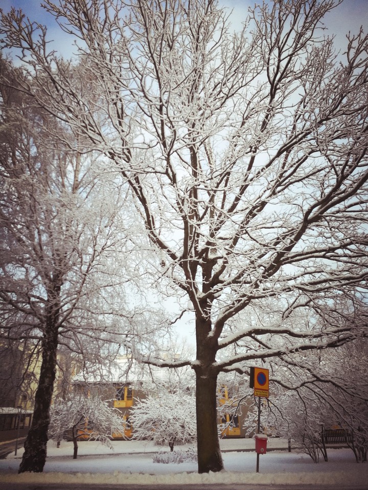 snow