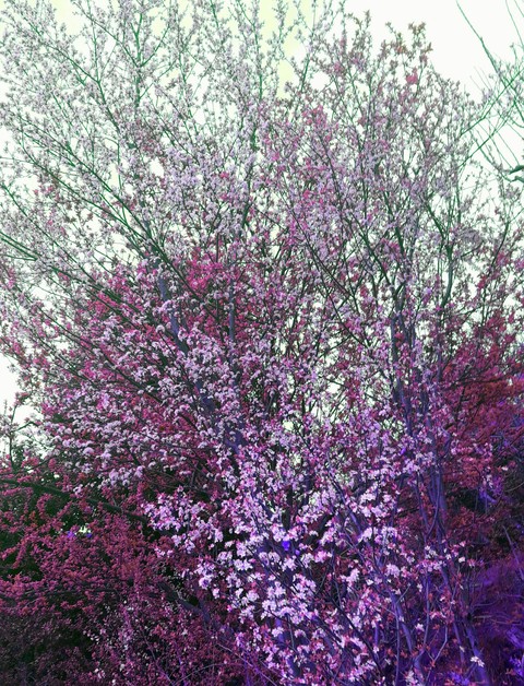 nature at its best