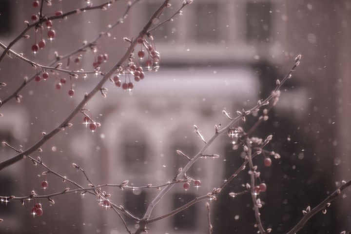 Snow