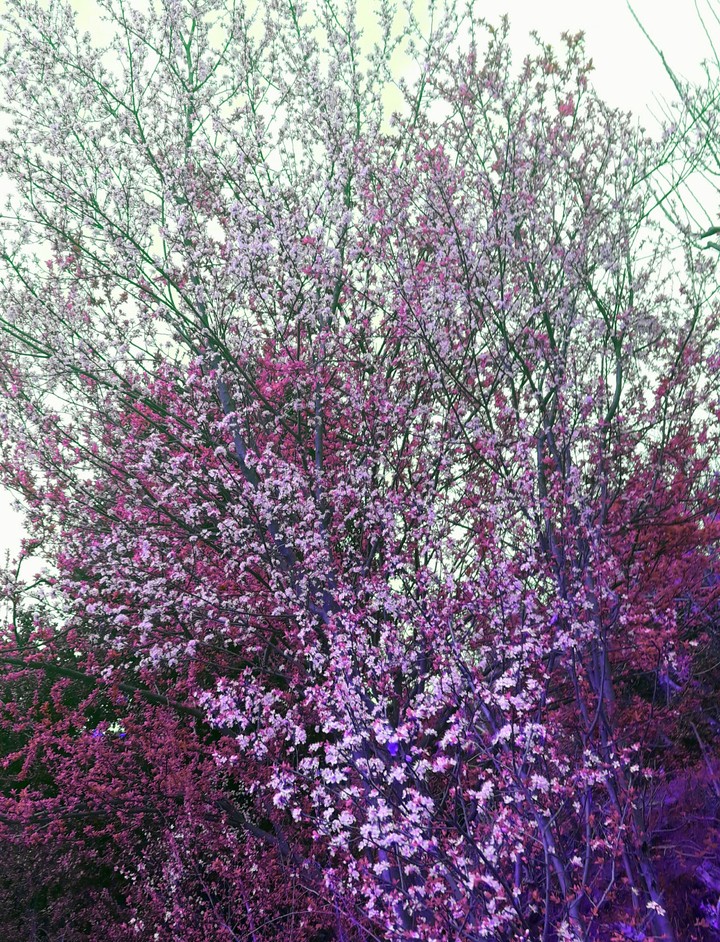 nature at its best