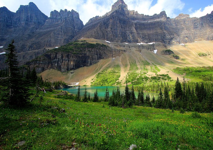 Nature's Beauty