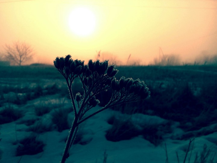 beautiful sundown