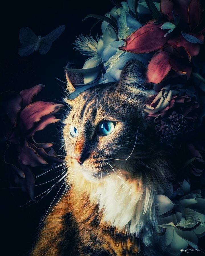 ❤️