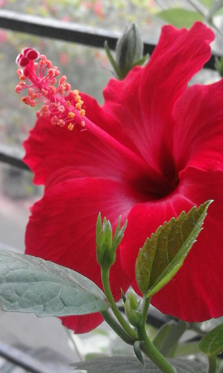 some random clicks....