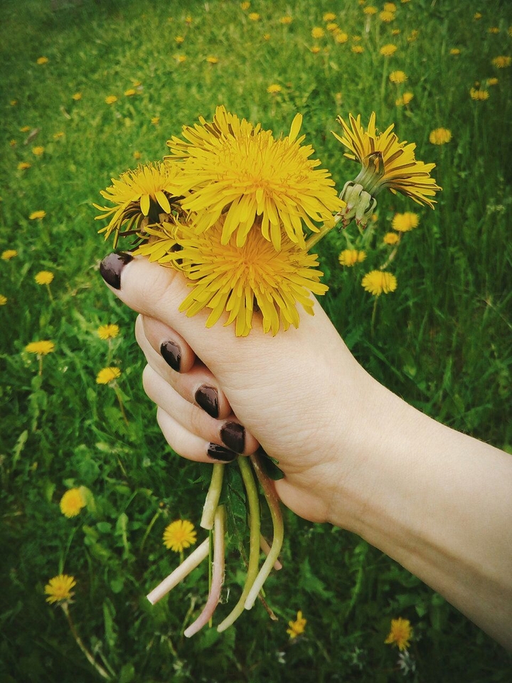 Flowers