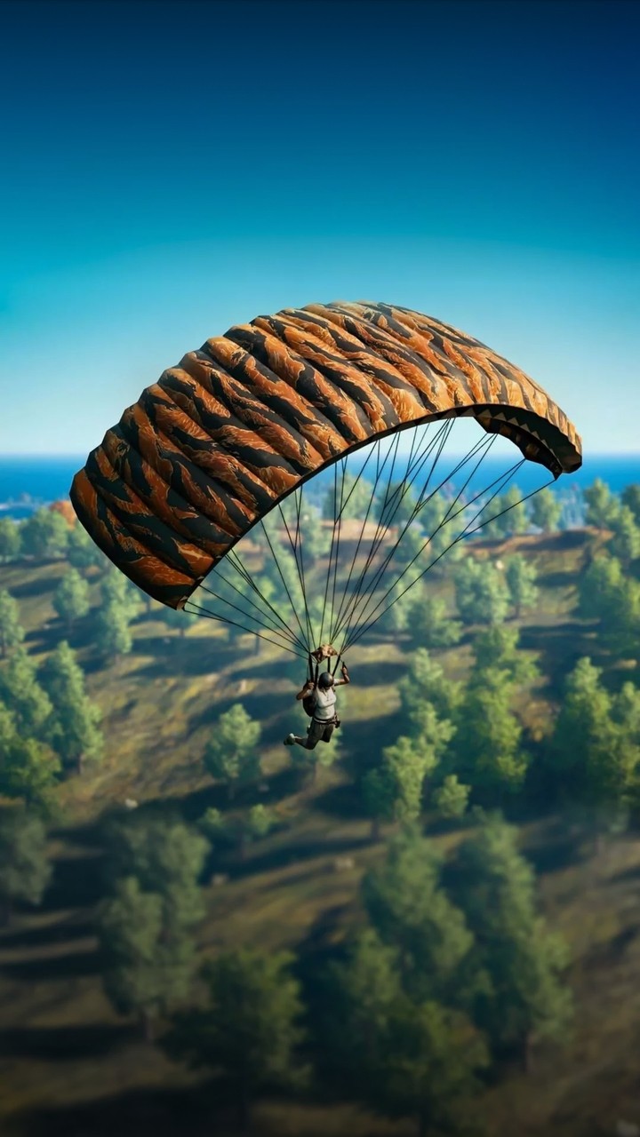 pubg