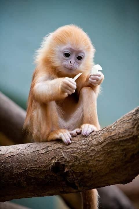 cuteness overload ❤