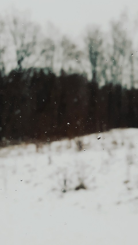 Do you see it?