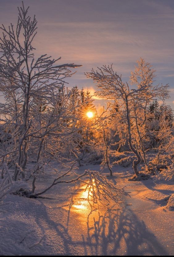 морозное утро