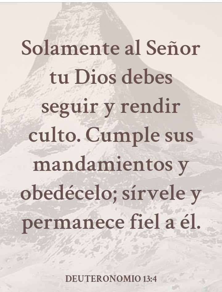 libre!!!