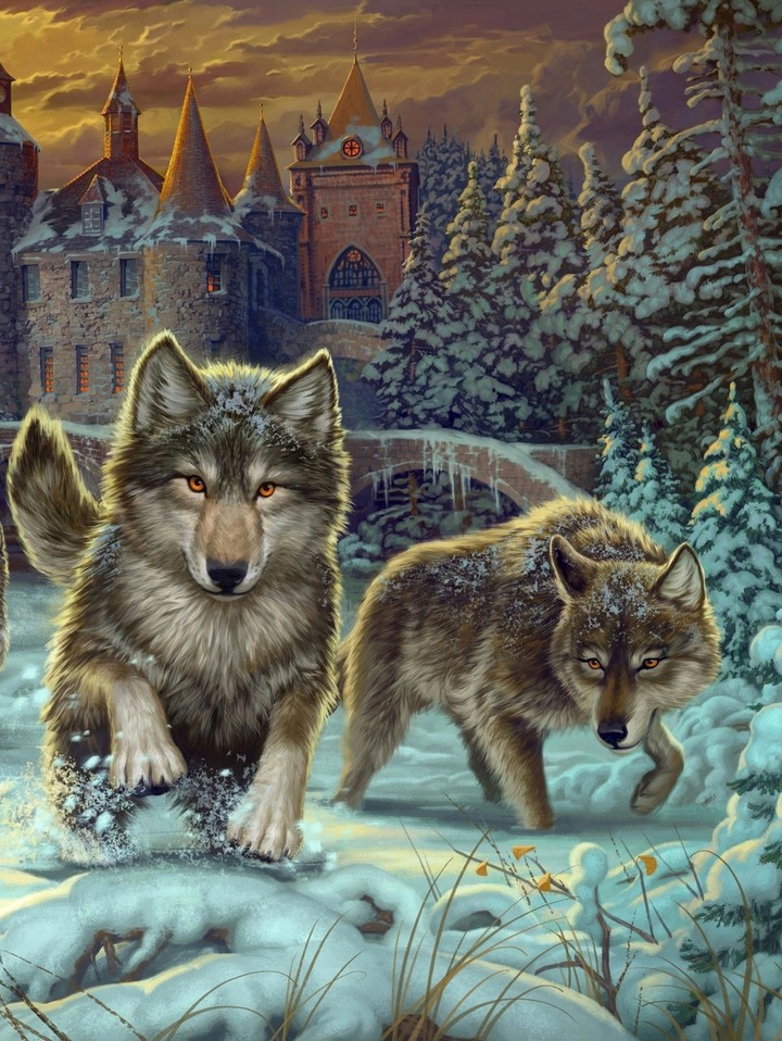 Wolf