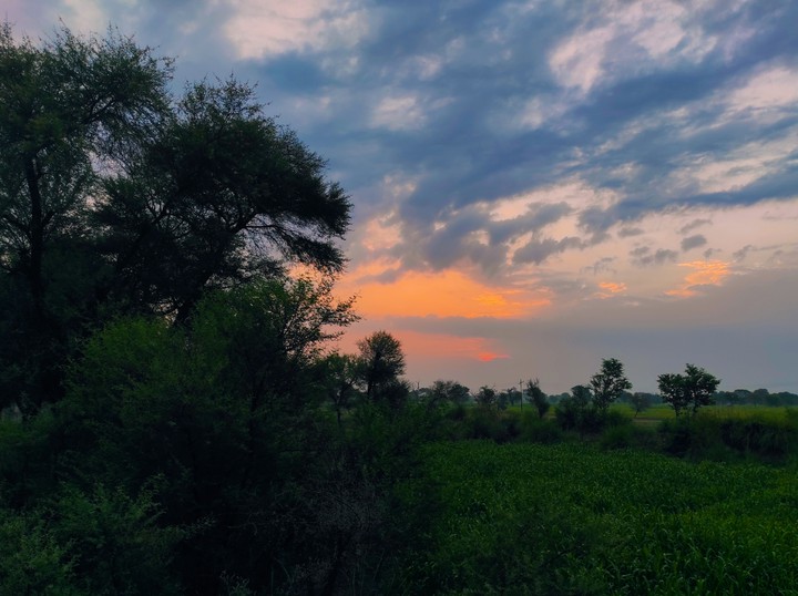 Sun Rise