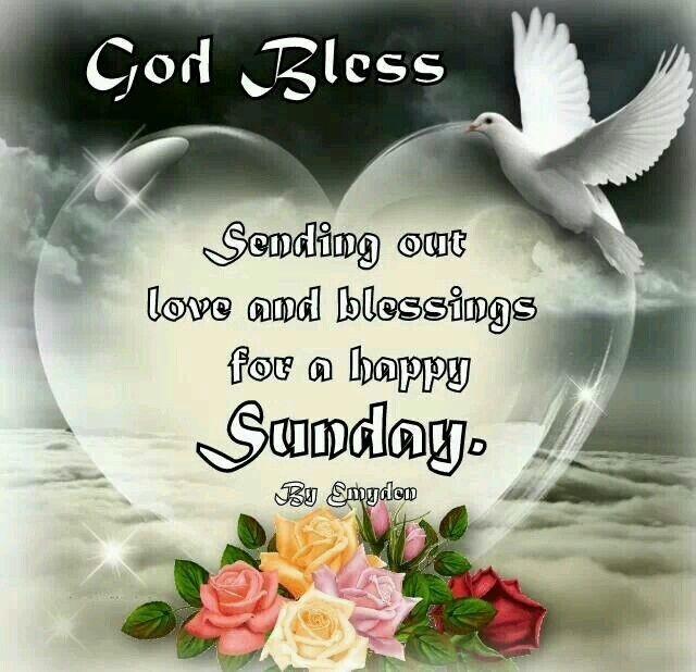 FOR EVERYONE
