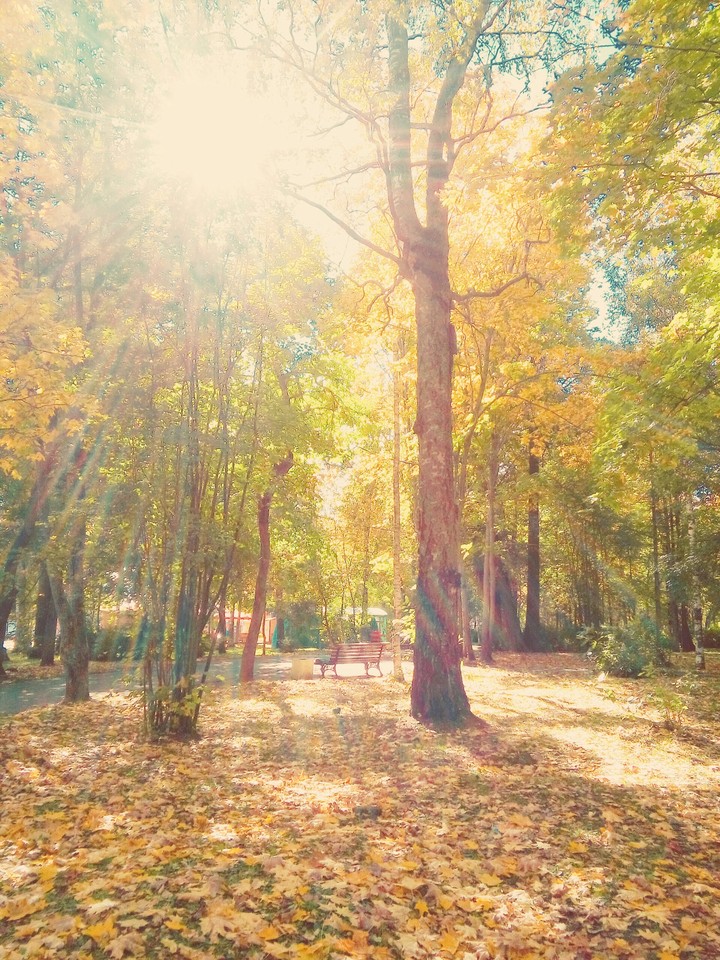 Autumn in vyatka
