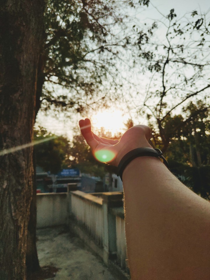 Hold the sunlight